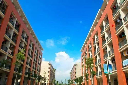 重磅 金灣爆發(fā),多盤(pán)房?jī)r(jià)破3萬(wàn) 地鐵 直通橫琴 下一個(gè)珠海市中心來(lái)了