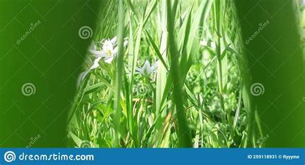 珠海網游推廣員怎么做_手游廠商top50:共創(chuàng)甜蜜游戲事業(yè),享受成功滋味